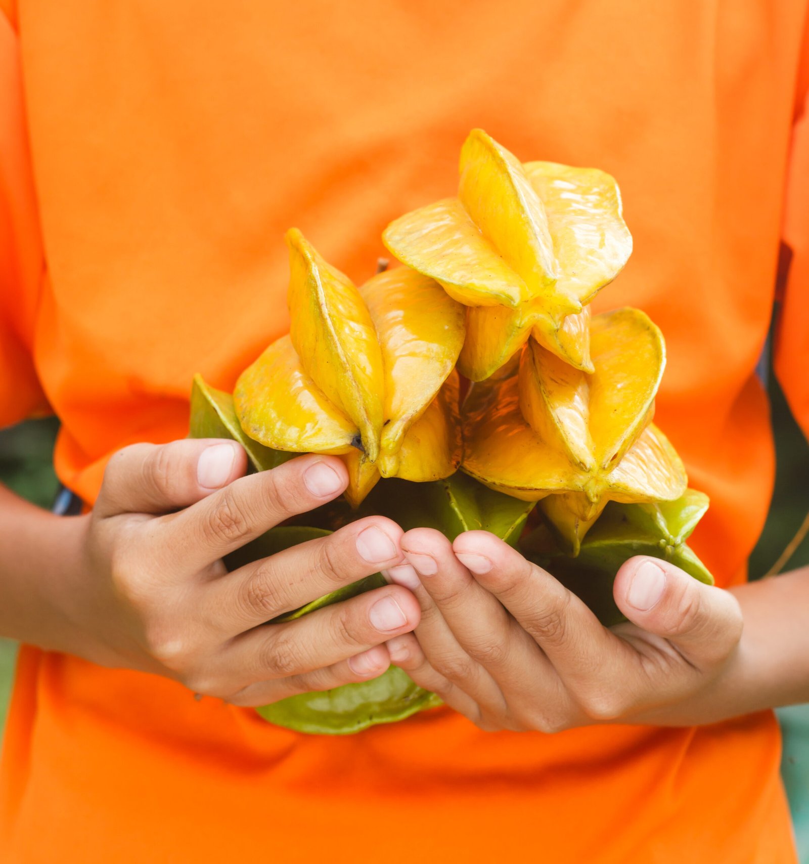 Starfruit - Fresh Tropical Fruit Supplier