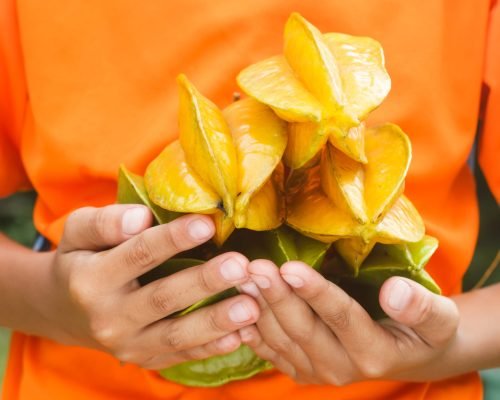 Starfruit - Fresh Tropical Fruit Supplier