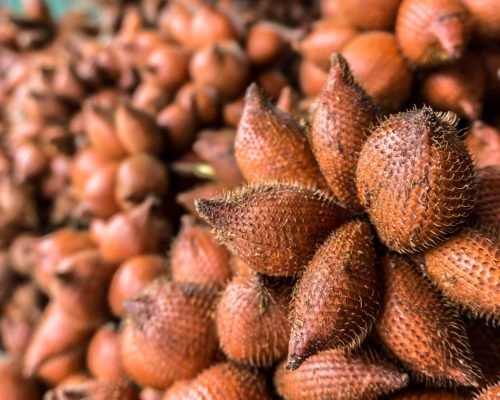 Snake fruit - Fresh Tropical Fruit Supplier