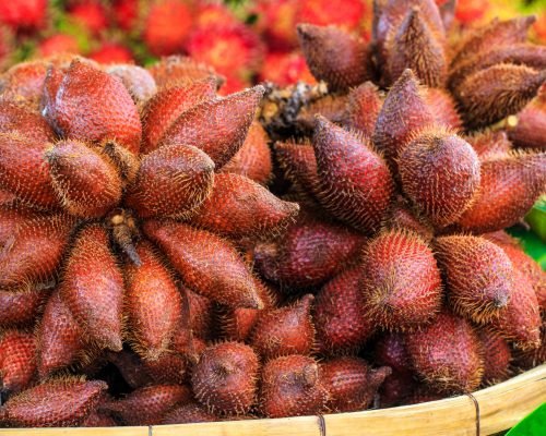 Snake fruit - Fresh Tropical Fruit Supplier